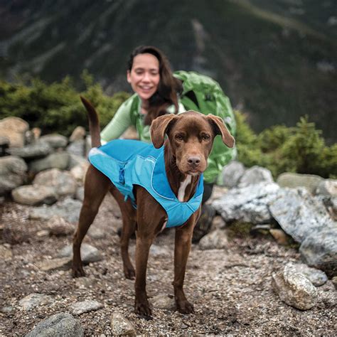 cappotto gucci per cani|Cappotti per cani: guida pratica al cappotto cane .